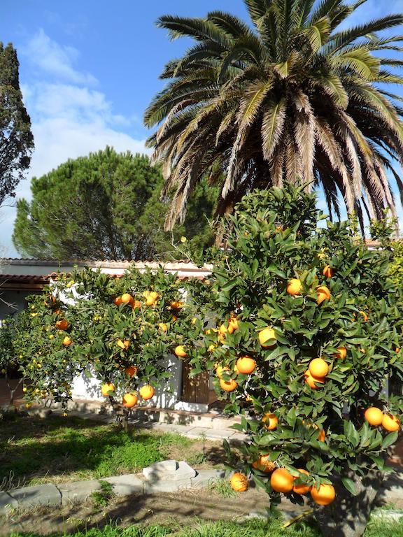 Il Giardino Di Emilio Bed & Breakfast Marrùbiu Rom bilde